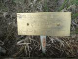 image of grave number 950419